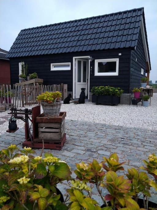 Wellness Chalet Met Jacuzzi, Sauna, Omheinde Tuin, Sint Annaland Exterior foto