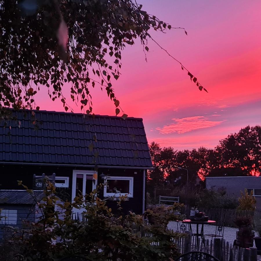 Wellness Chalet Met Jacuzzi, Sauna, Omheinde Tuin, Sint Annaland Exterior foto